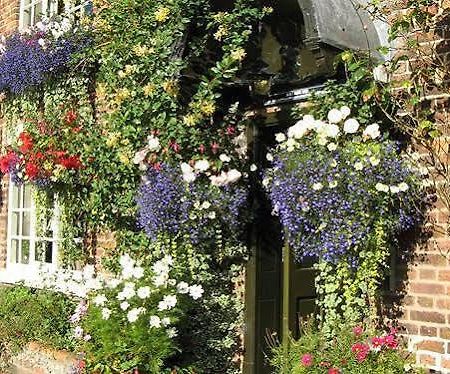 The Alvanley Arms - Inn Cotebrook Bagian luar foto